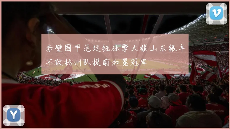 赤壁围甲范廷钰独擎大旗山东银丰不敌杭州队提前加冕冠军